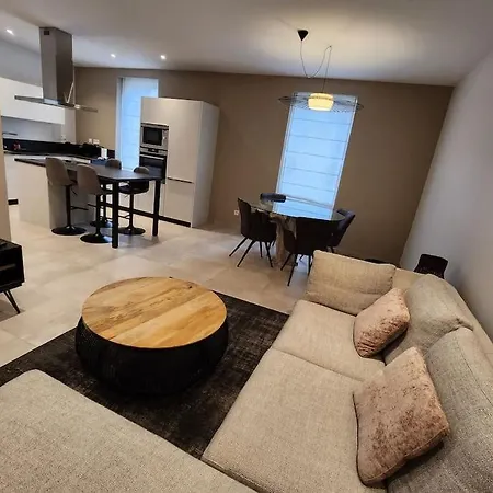 T4 Duplex Neuf Parking - Aeroport-eurexpo-stade Appartement *