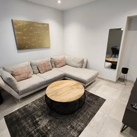 T4 Duplex Neuf Parking - Aeroport-eurexpo-stade Appartement